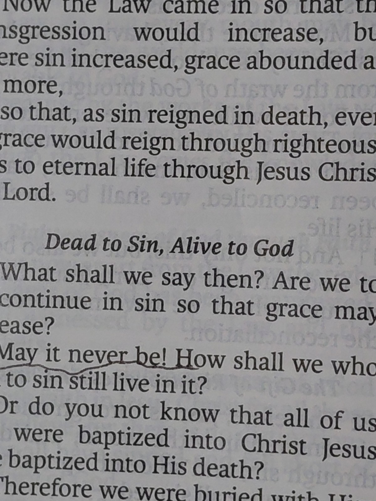 LSB Holy Bible Black Hardcover: Legacy Standard Bible 2 Column Verse By Verse