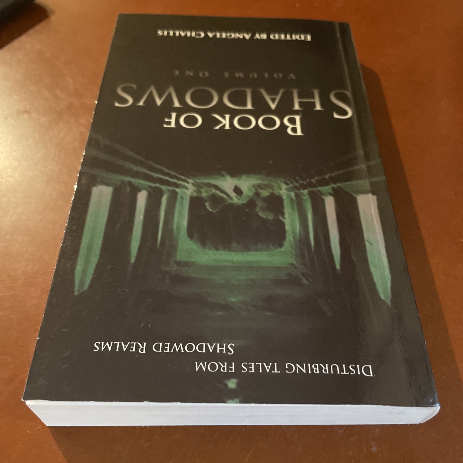 Book Of Shadows Volume 1 by Brimstone Press 1st Edition Small Press Run Rare