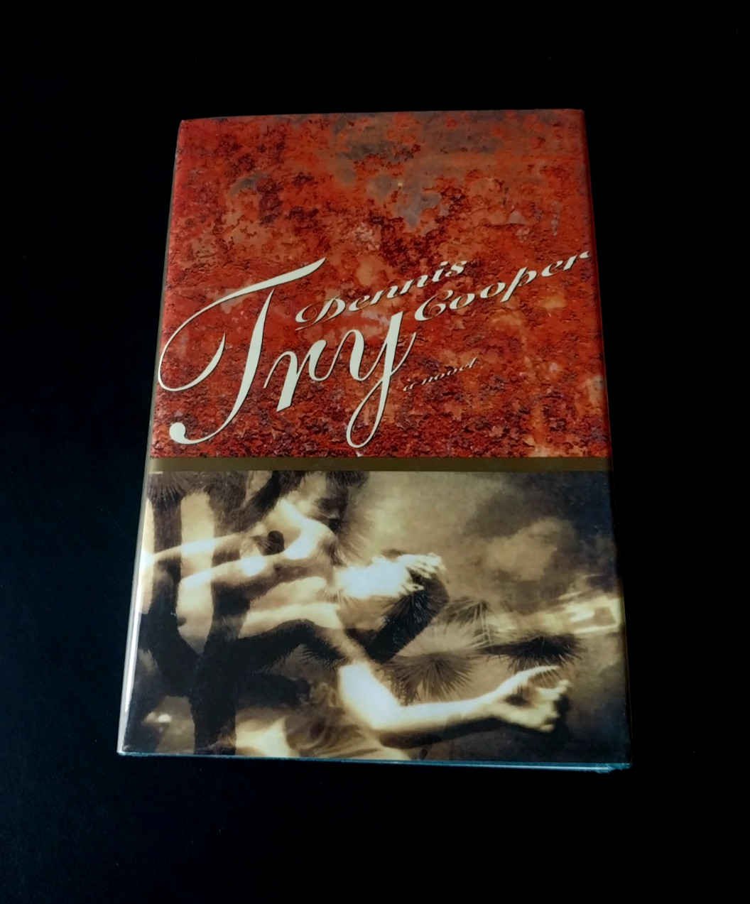 Dennis Cooper – Try – Grove Press First Edition First Printing 1994