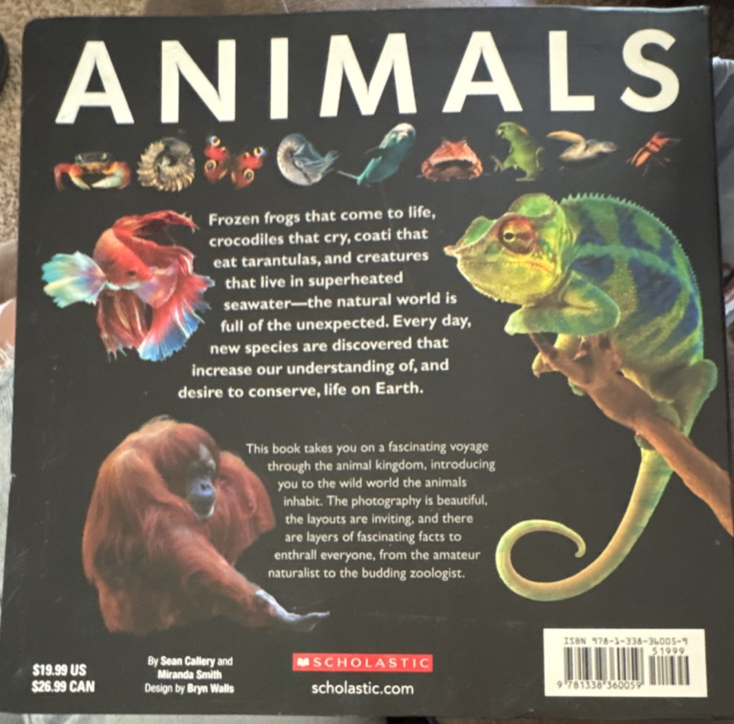Scholastic Animals 100s of Species By Sean Callery and Miranda Smith