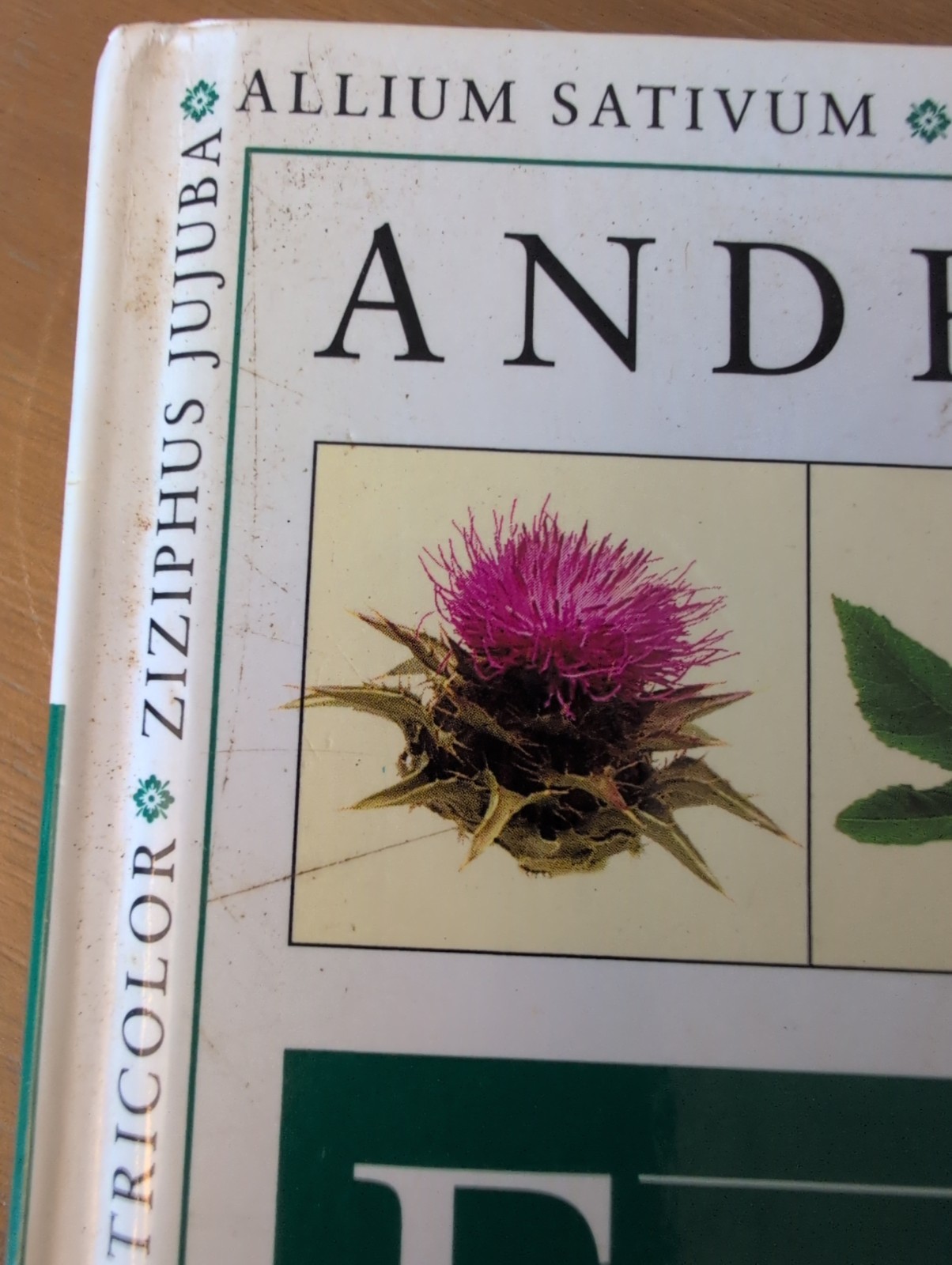 The Encyclopedia of Medicinal Plants: A Practical Reference Guide to over 550 HC