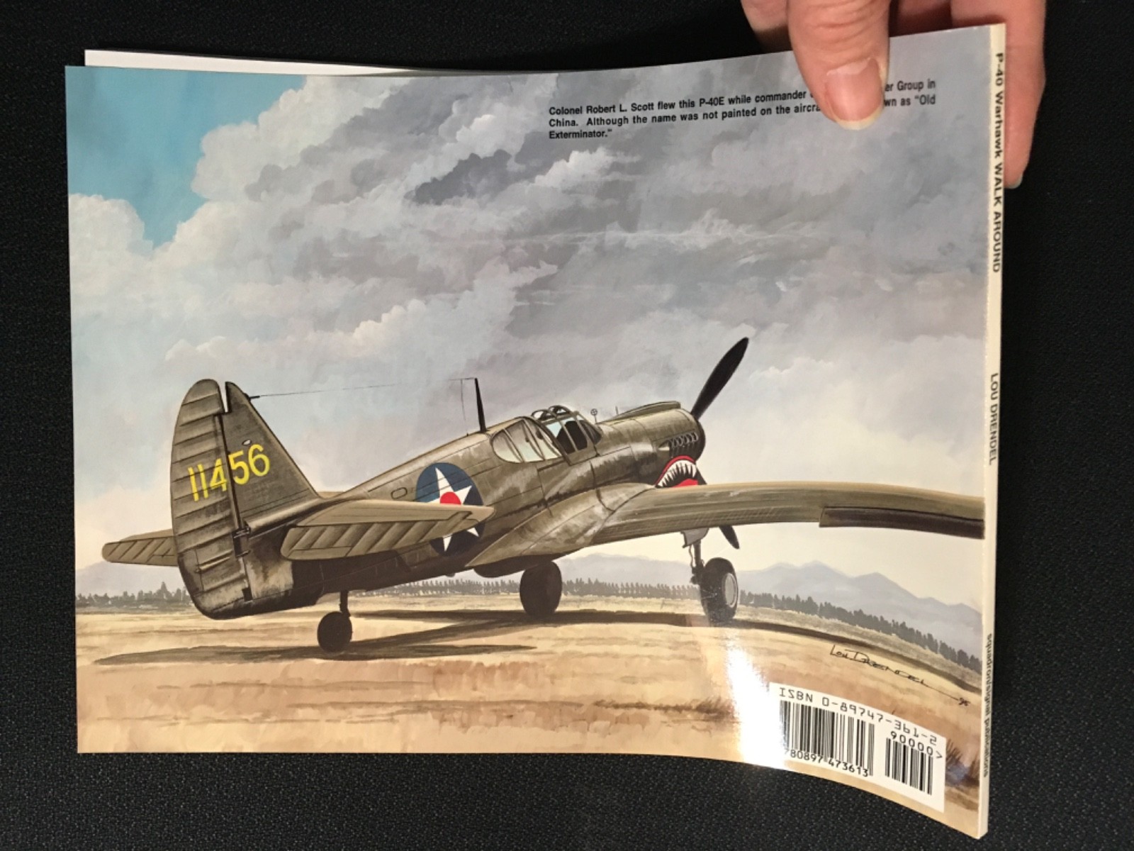 P-40 WARHAWK WALK AROUND Number 8 Squadron Signal WWII Military Aircraft Drendel