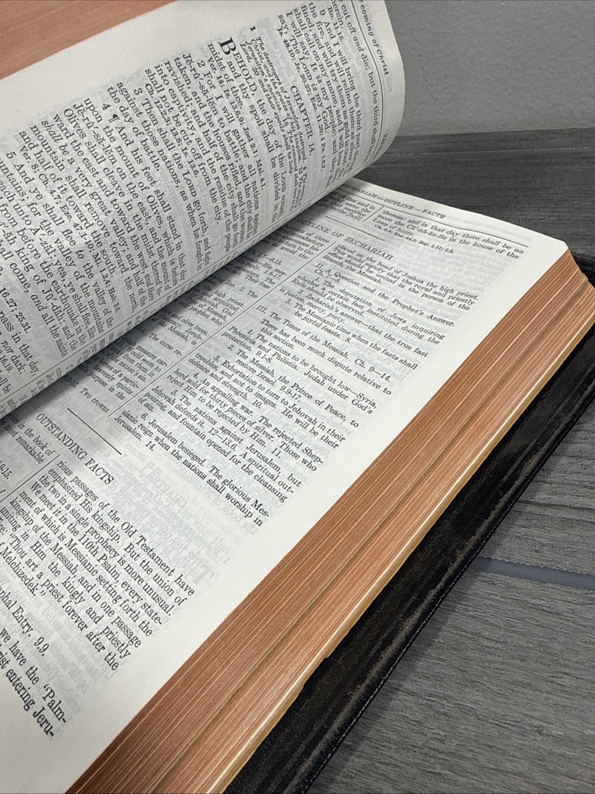 Holy Bible New Analytical Indexed Edition MOROCCO LEATHER Concordance Dickson
