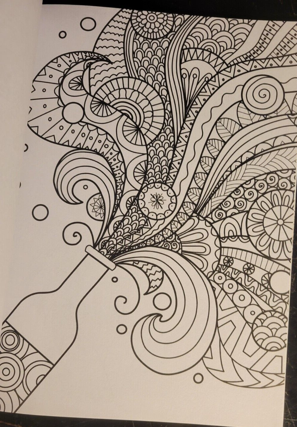 COLOR ME MAGNIFICENT Vol 10 – Adult Coloring Book by TOPIX MEDIA – 47 PRINTS