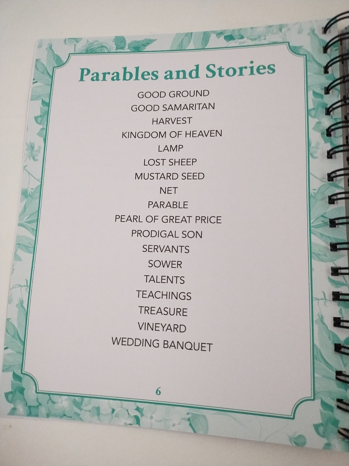 Bible Word Search: The Words of Jesus Large Print Christian Religion Religious