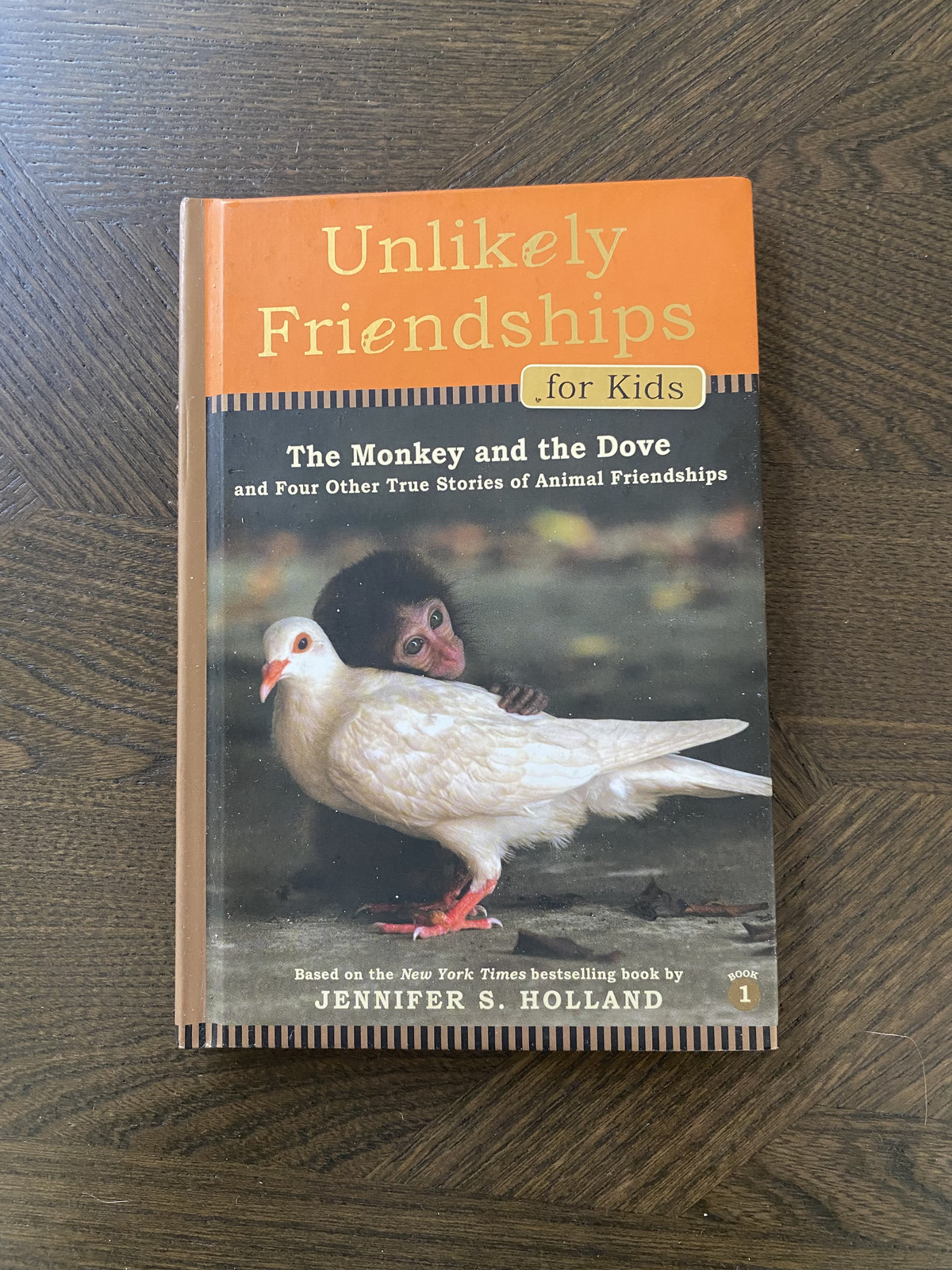 Unlikely Friendships for Kids: The Monkey and the Dove, Jennifer S Holland