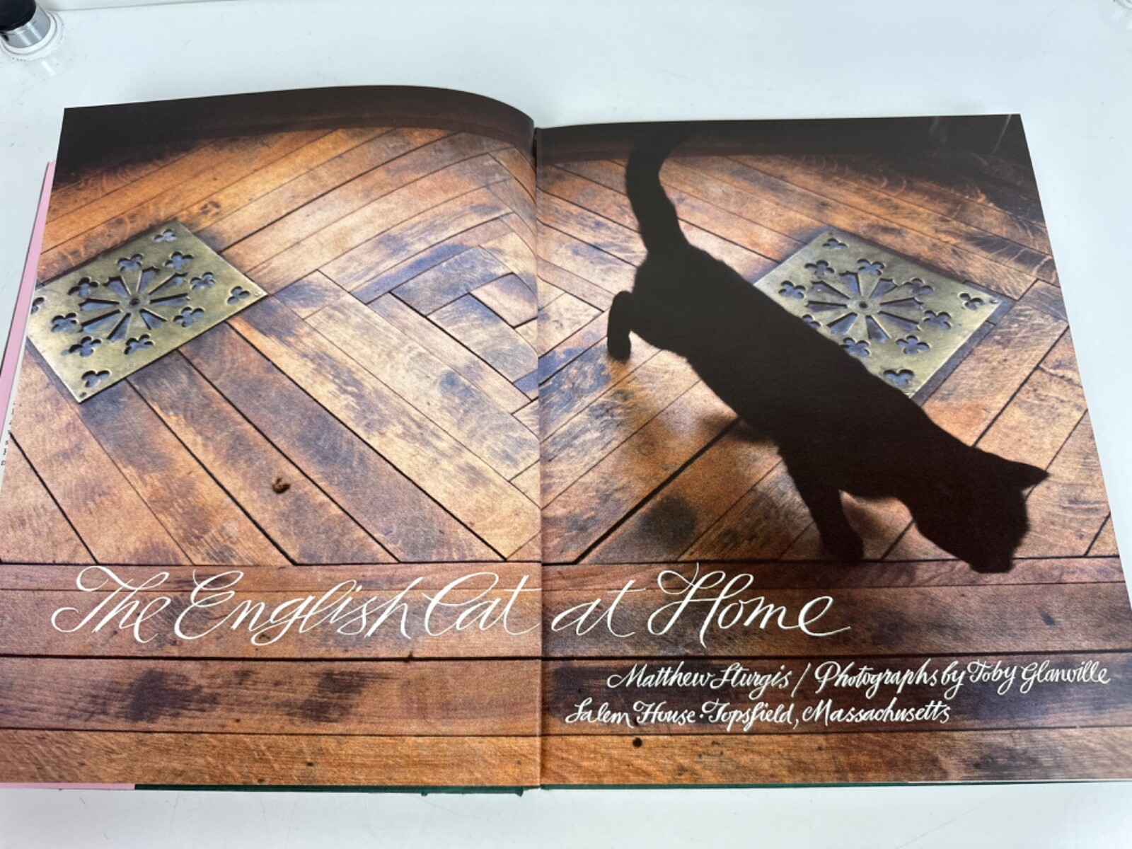 ‘The English Cat at Home’ by Matthew Sturges Hardcover Book 158 Pages c 1988