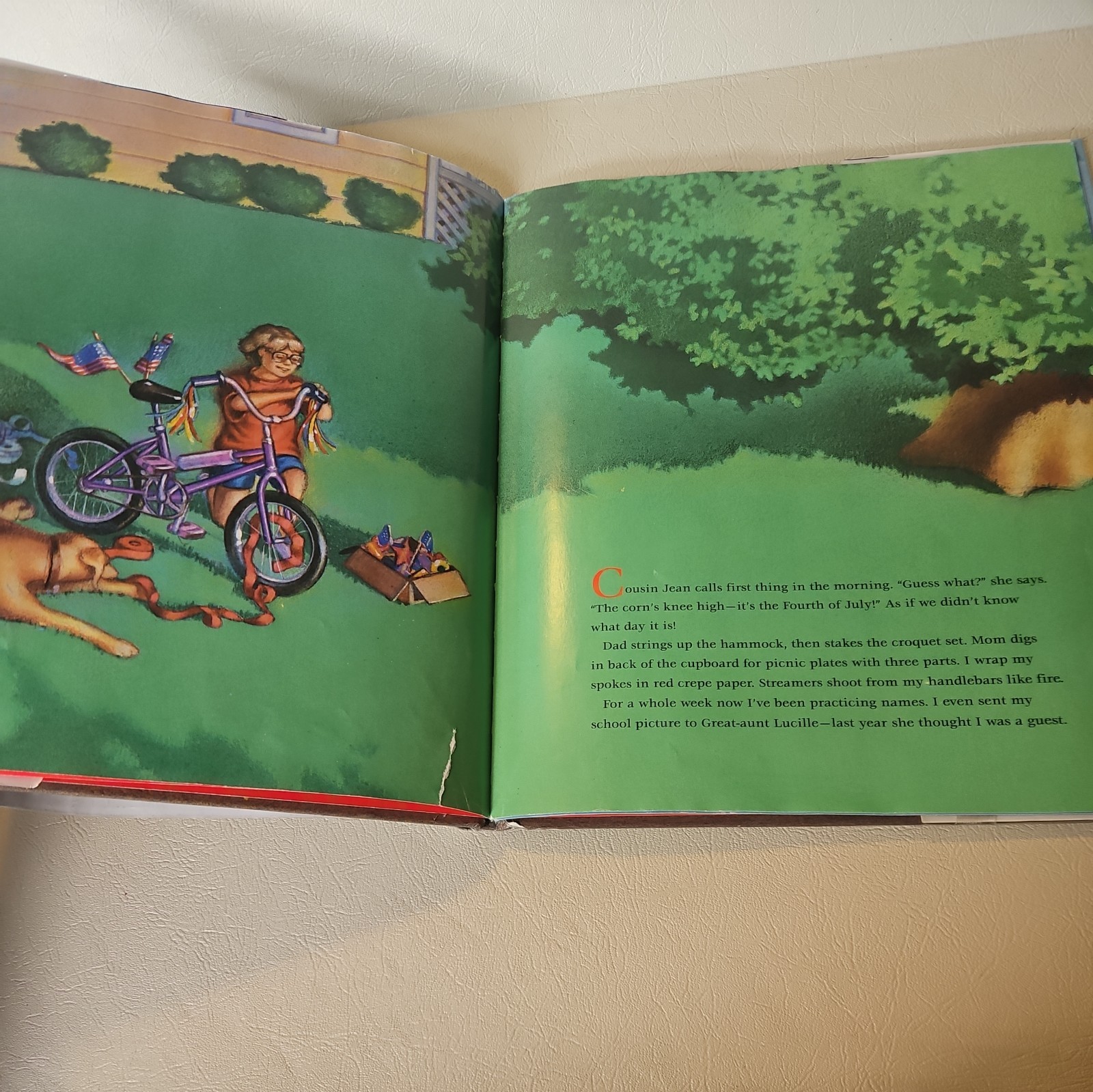 Happy Birthday, America! Hardcover Marsha Wilson Chall Vintage 250th USA