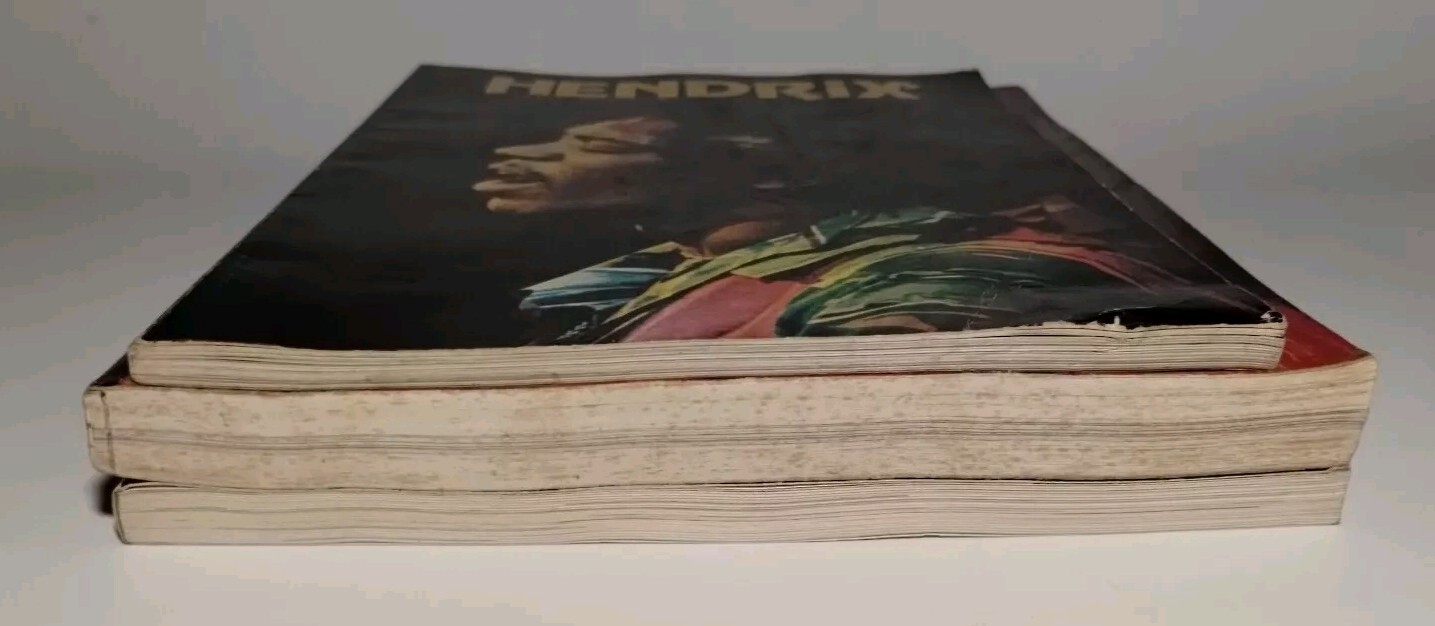 JIMI HENDRIX A Biography by Chris Welch / Janis Joplin and Rolling Stones A to Z