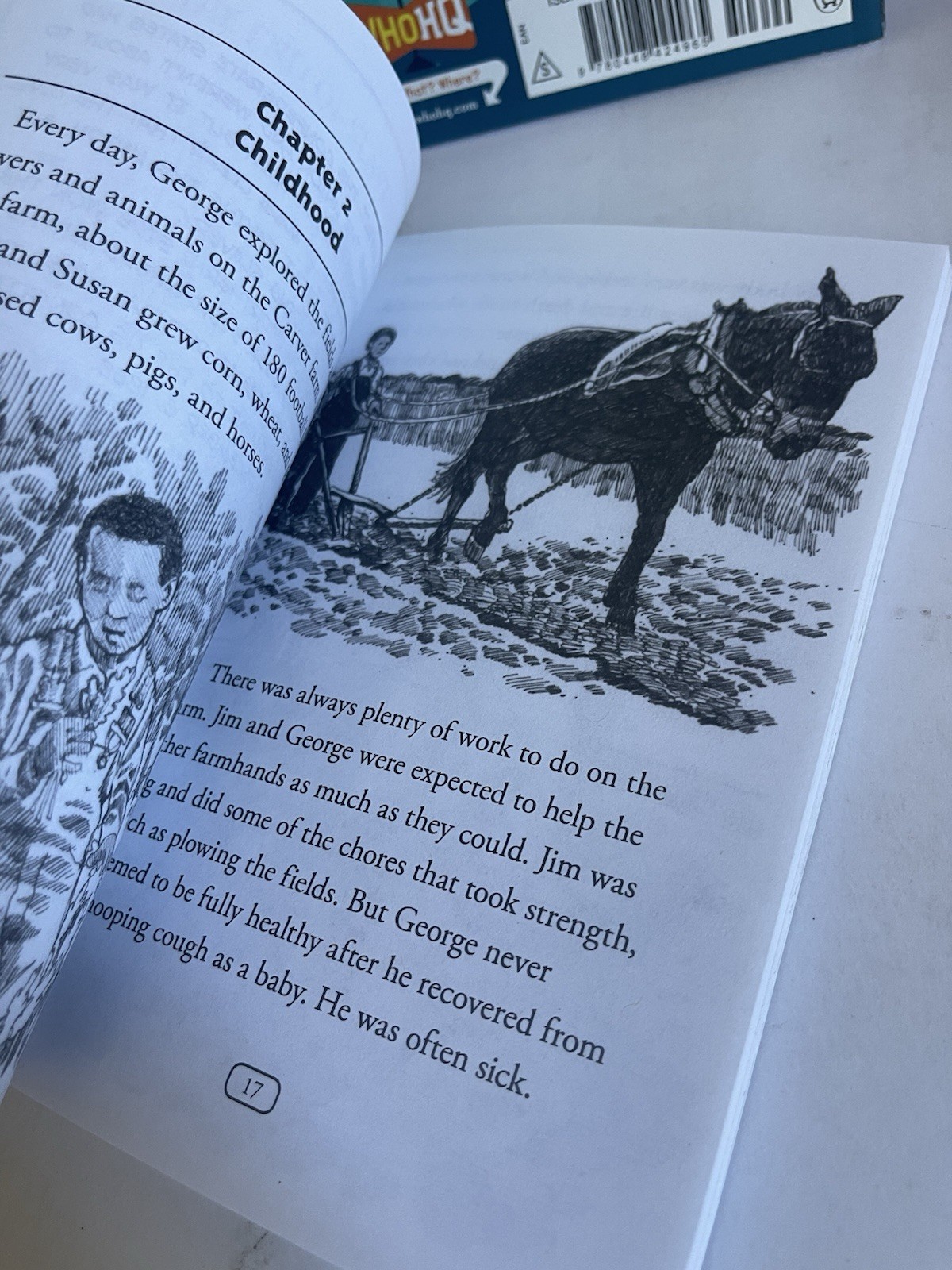 Lot 13 Who Was? Who HQ Series Is What Where Biography History Chapter Books