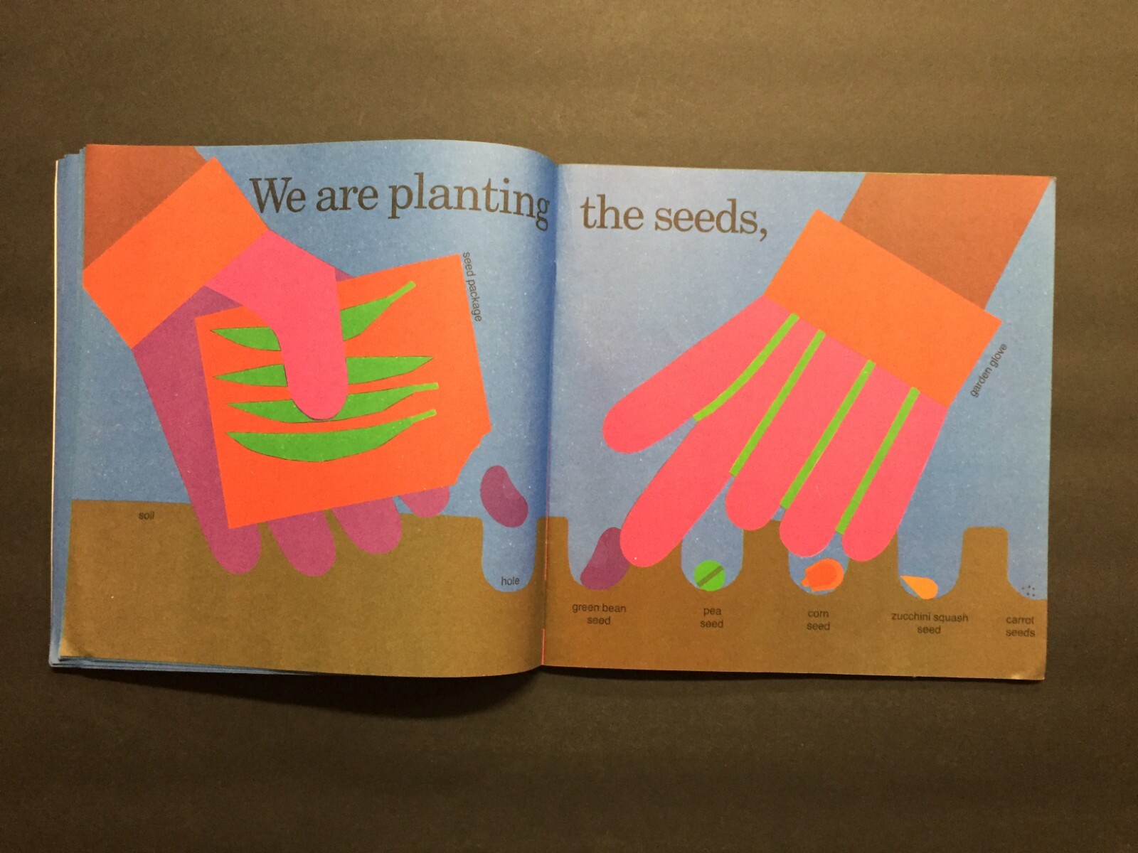 The King Who Rained by Fred Gwynne/Growing Vegetable Soup/Shapes/Numbers