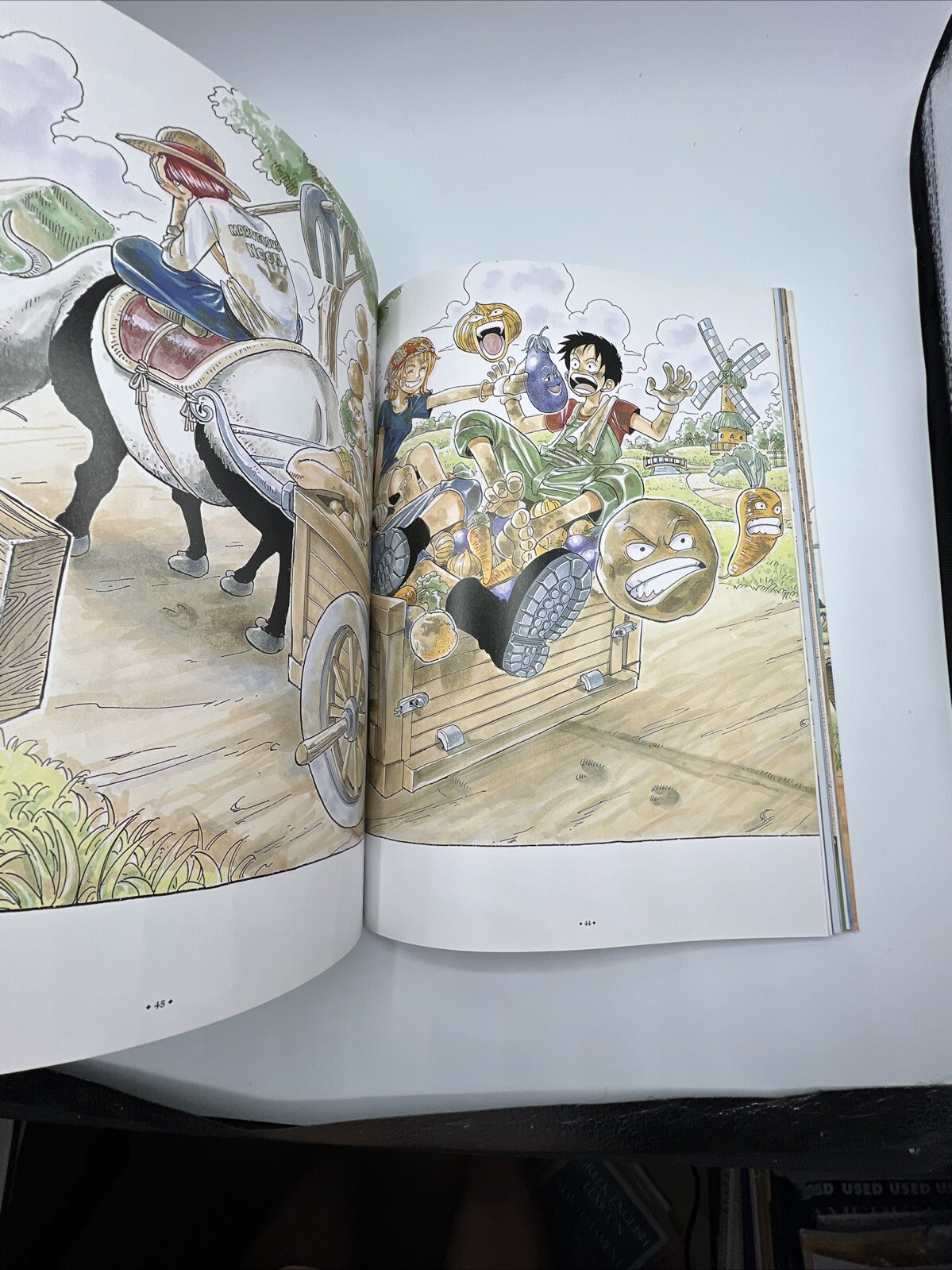 One Piece Color Walk 1 + Color Walk 2 Eiichiro Oda / Art of Shonen Jump