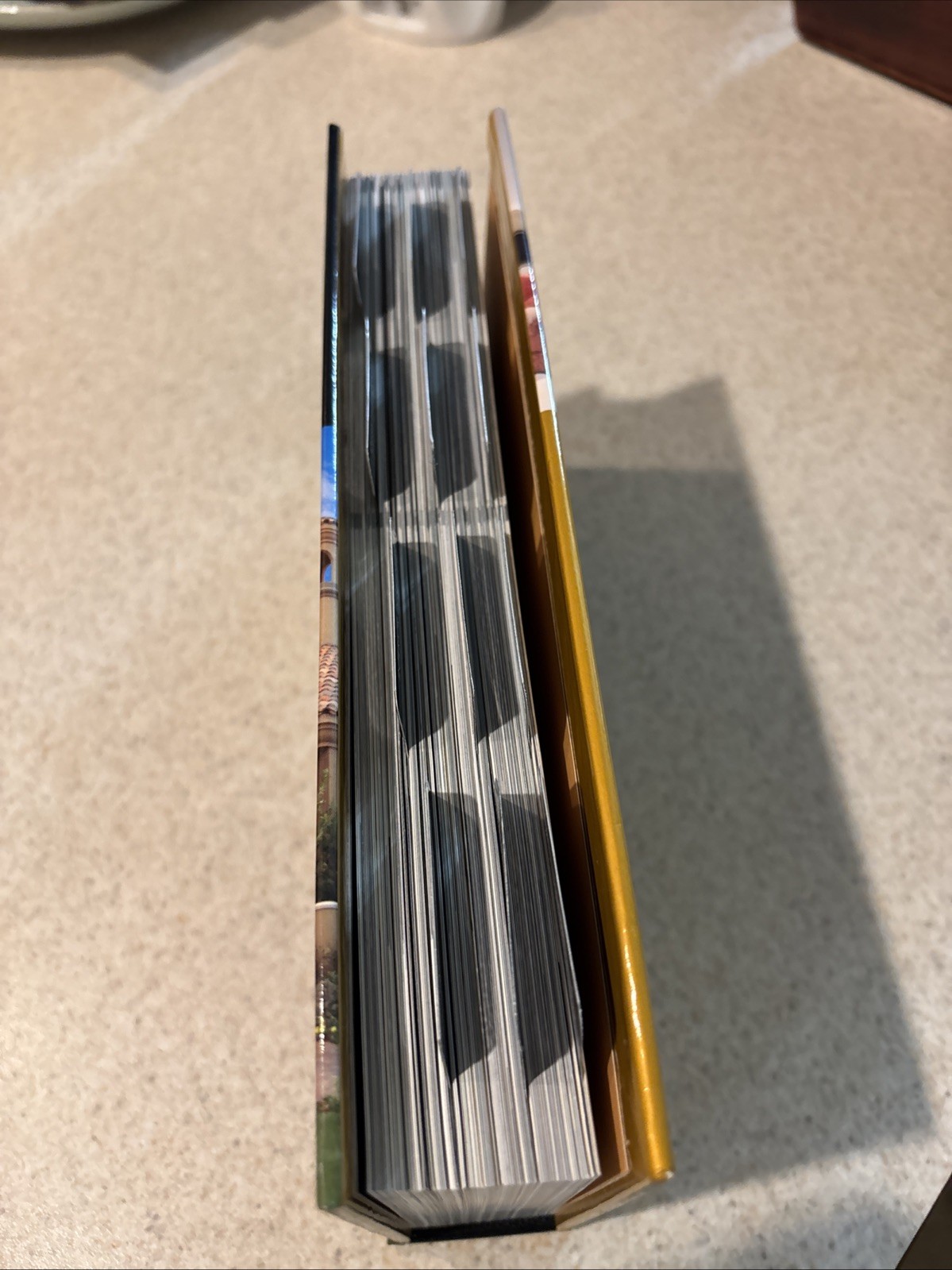 Las Vegas Home Book Premier Edition 2001 555 Pages