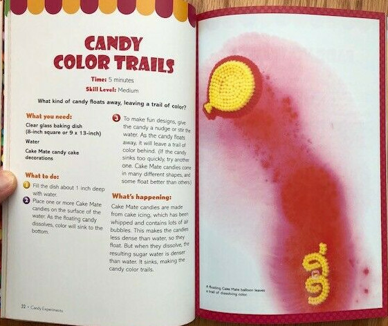 Candy Experiments: By Leavitt, Loralee (Paperback, 146 pages very clean)
