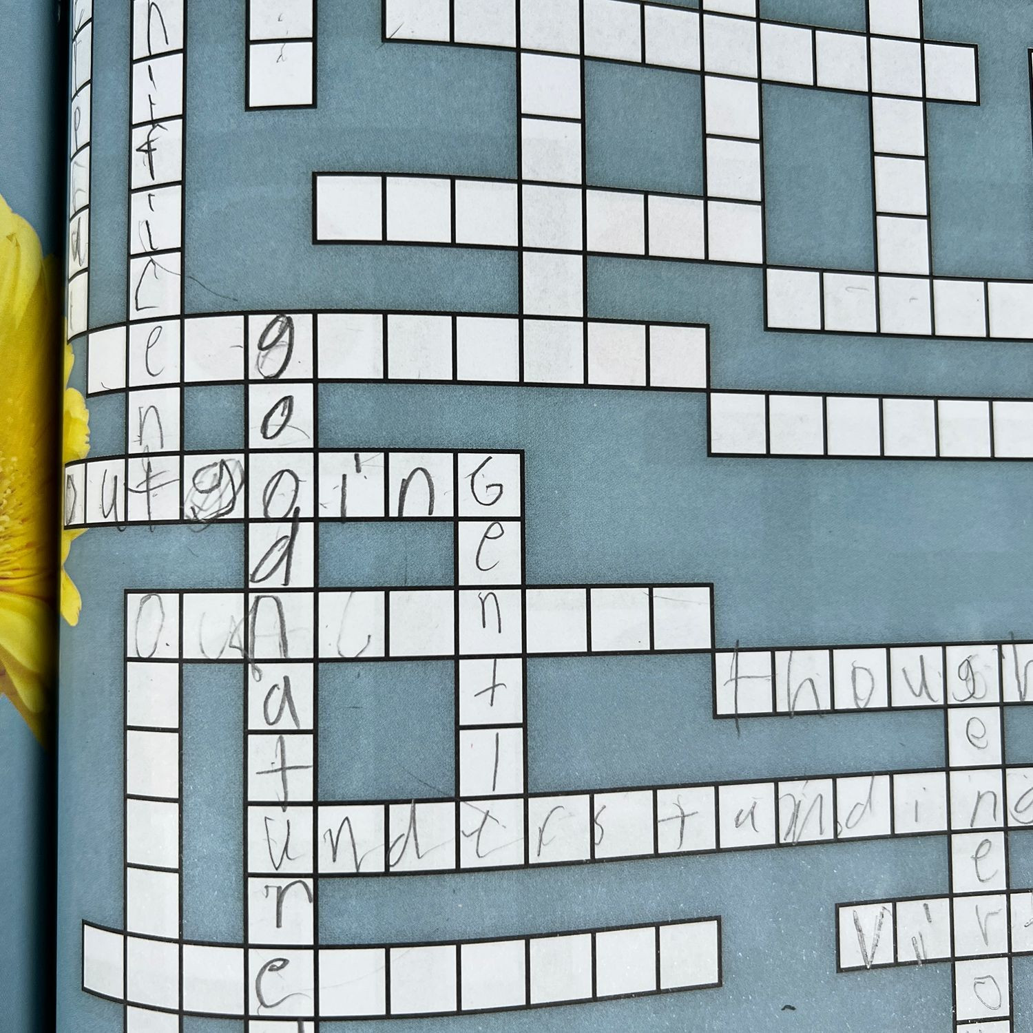 Highlights Ultimate Puzzle Challenge Book Hidden Pictures Word Search Mazes Used