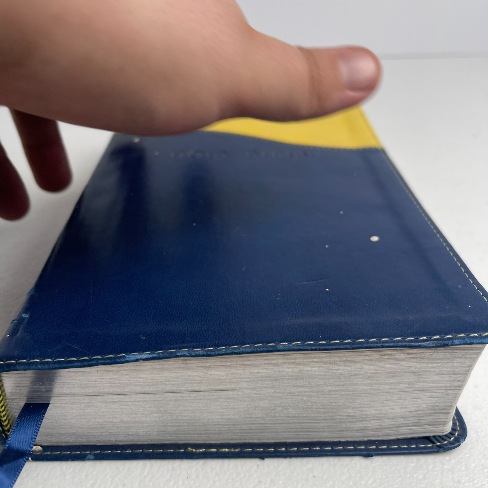 Holy Bible Hendrickson KJV