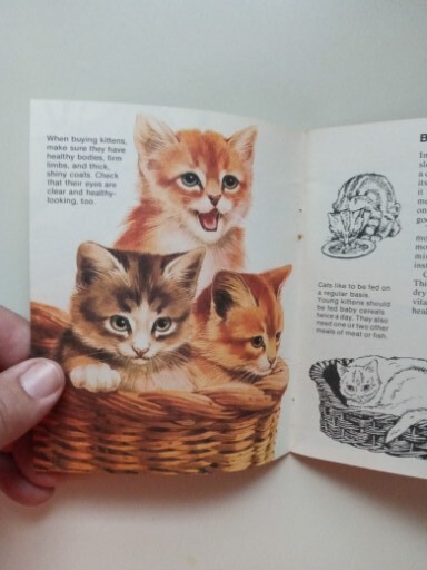 SCIMITAR NP Cats By Jill Hughes 1981 Paperback
