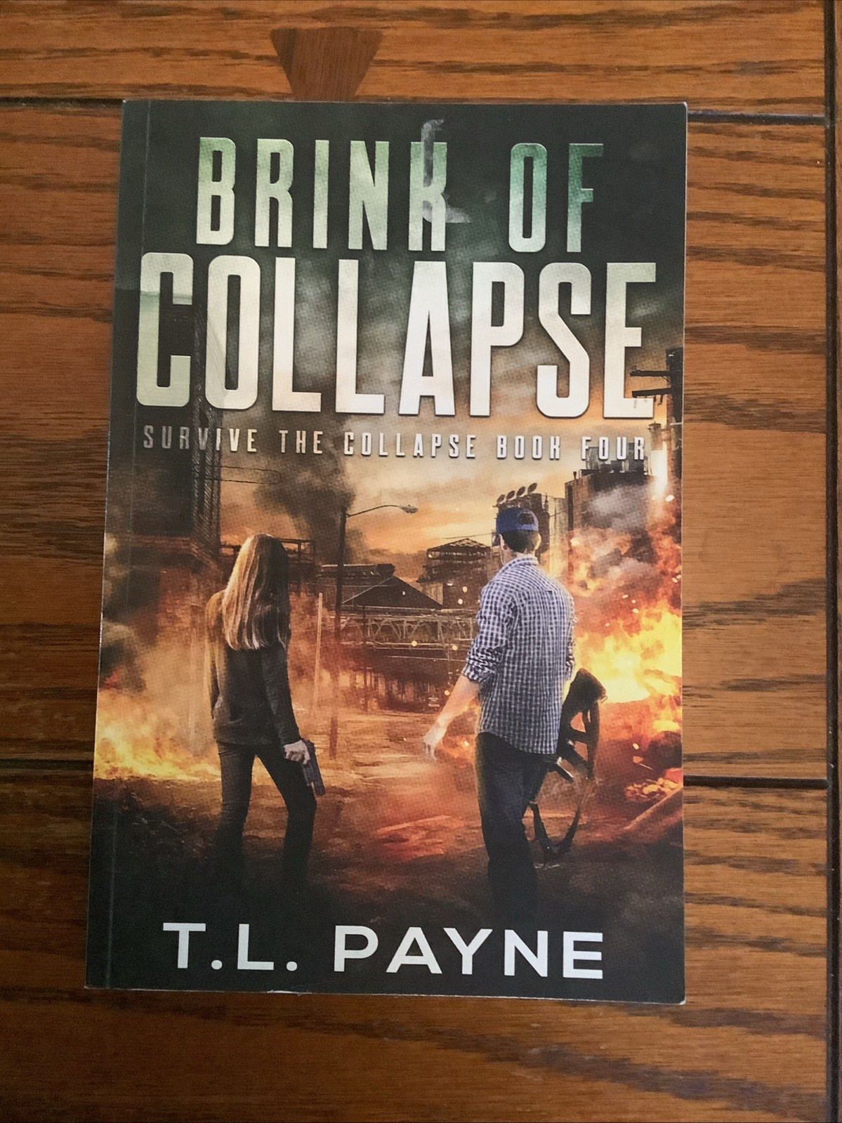 Days of Want Series 4 Book Lot T.L. Payne Paperback Survive Collapse Houston
