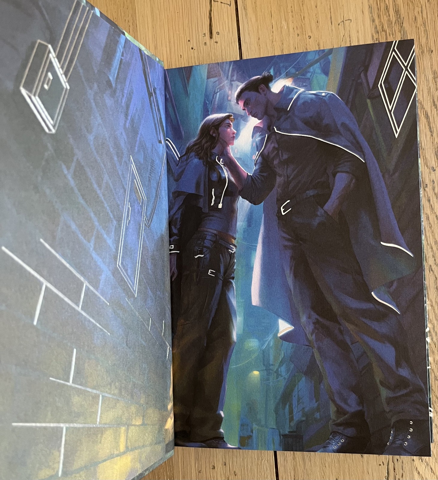 SIGNED To Cage a Wild Bird by Brooke Fast – Fairyloot Special Edition