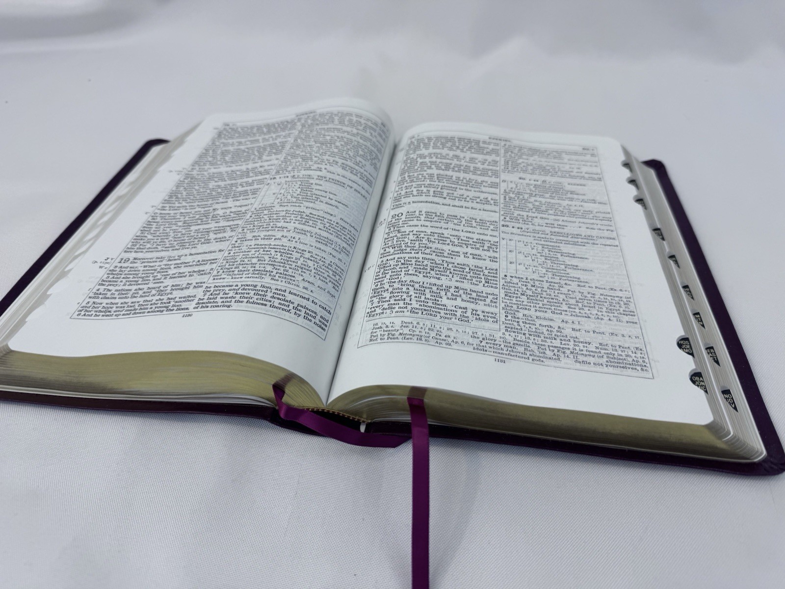 Companion Bible: King James Version, Burgundy, Bonded Leather FAST SHIP!!!