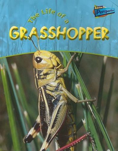 Life of a Grasshopper (Life Cycles) by Hibbert, Clare