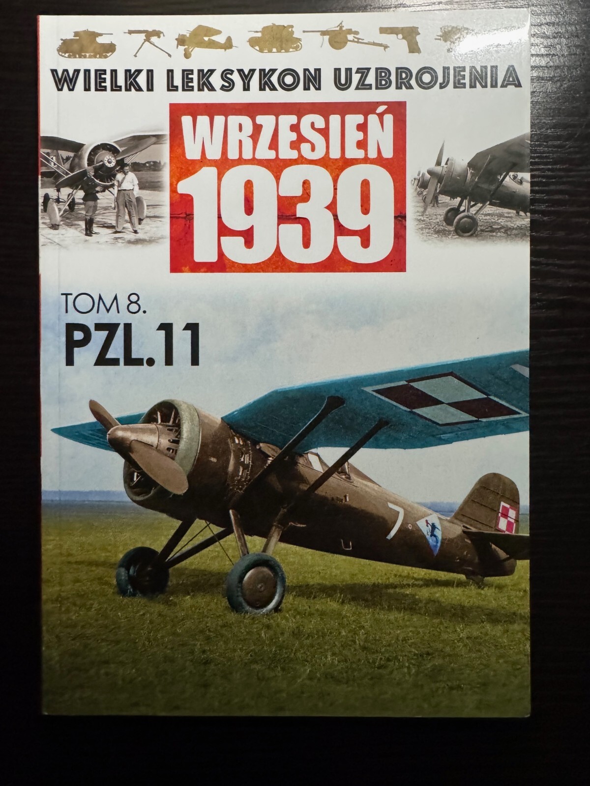 Wrzesien 1939 FIGHTER PZL.11 in Polish
