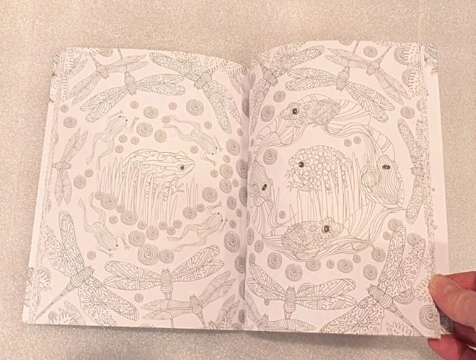 New! Blossoms And Butterflies, Color Your World (Jane Heyes) intricate coloring