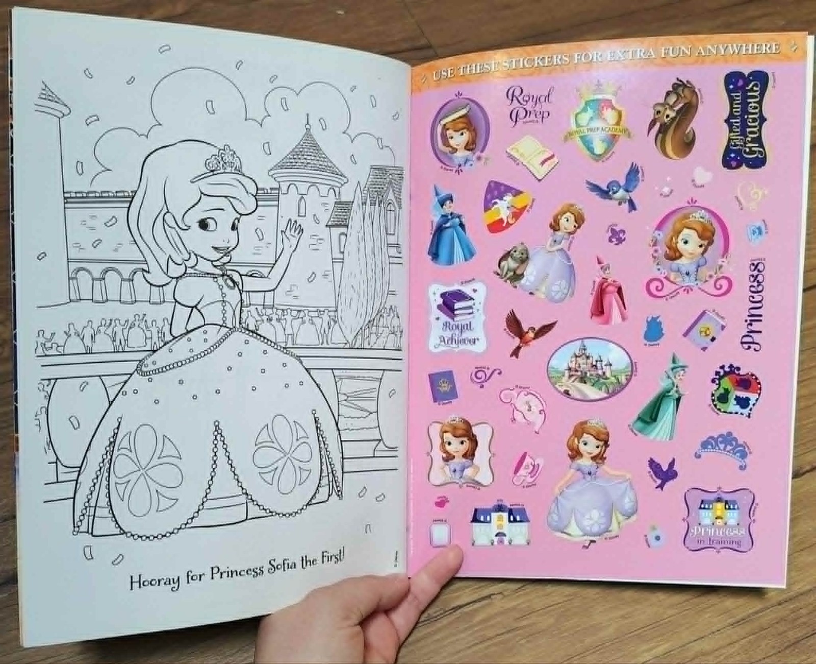 Sofia the First Coloring & Activity Sticker Scene 2013 A Lovable Princess