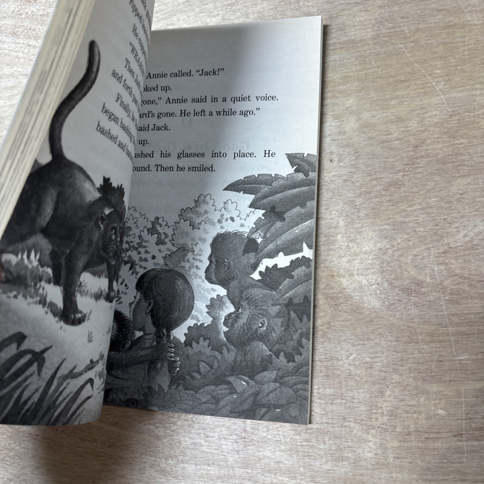 Good Morning, Gorillas by Mary Pope Osborne (2002, Mass Market)
