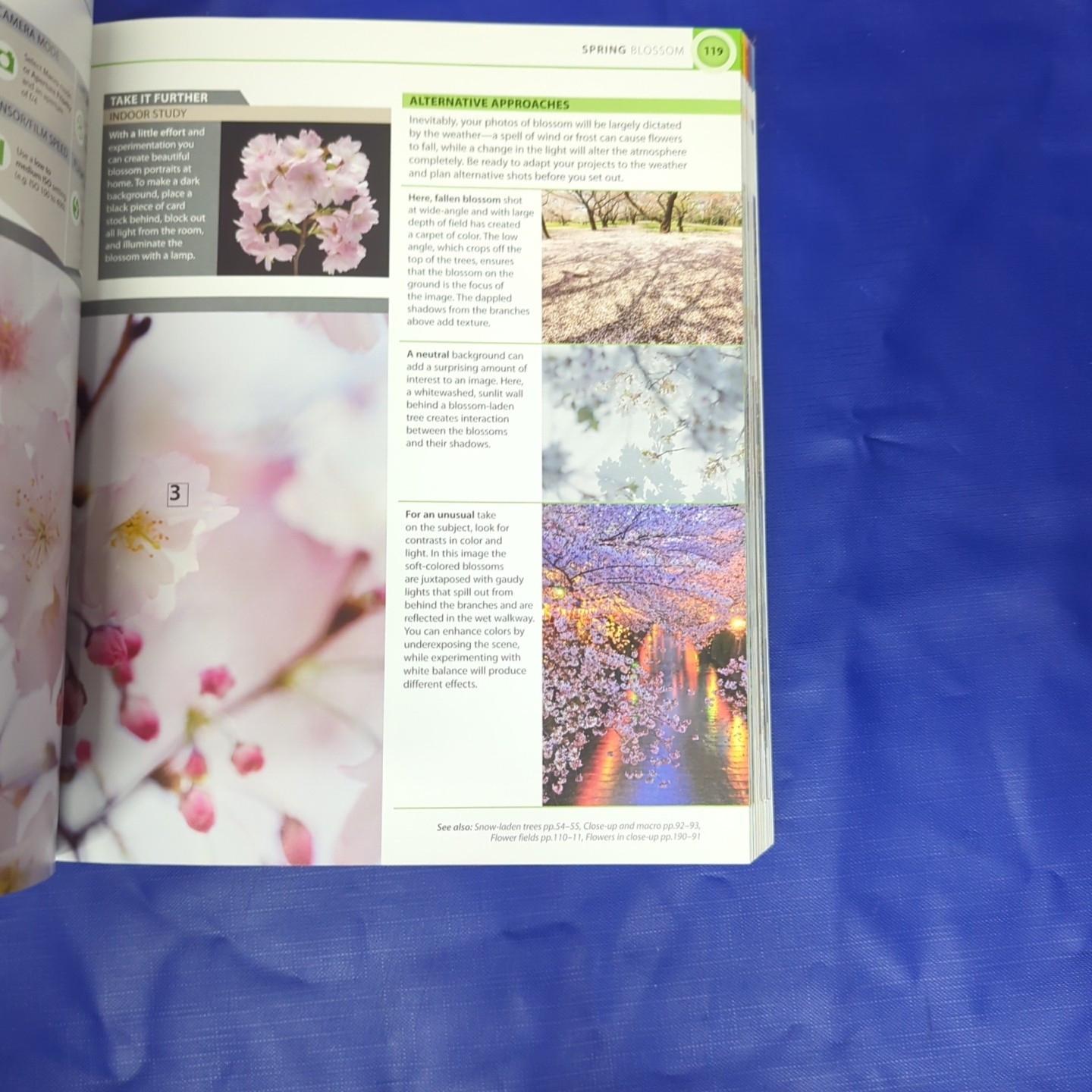 Digital Photography Through the Year Ang, Tom Very Good