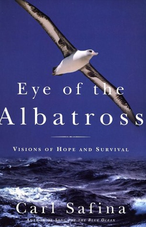 Eye of the Albatross : Views of the Endangered Sea Hardcover Carl