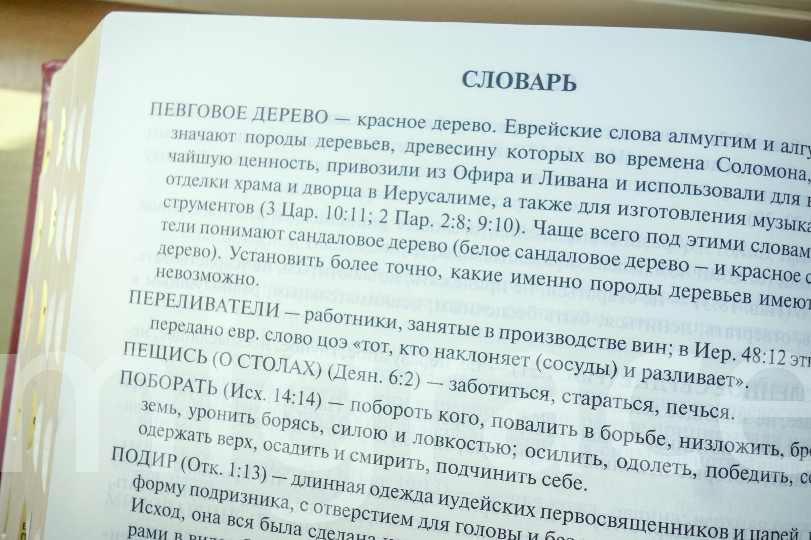 RUSSIAN Table BIBLE black LEATHER hard cover, Indexes 29x22cm 3kg Gift Box