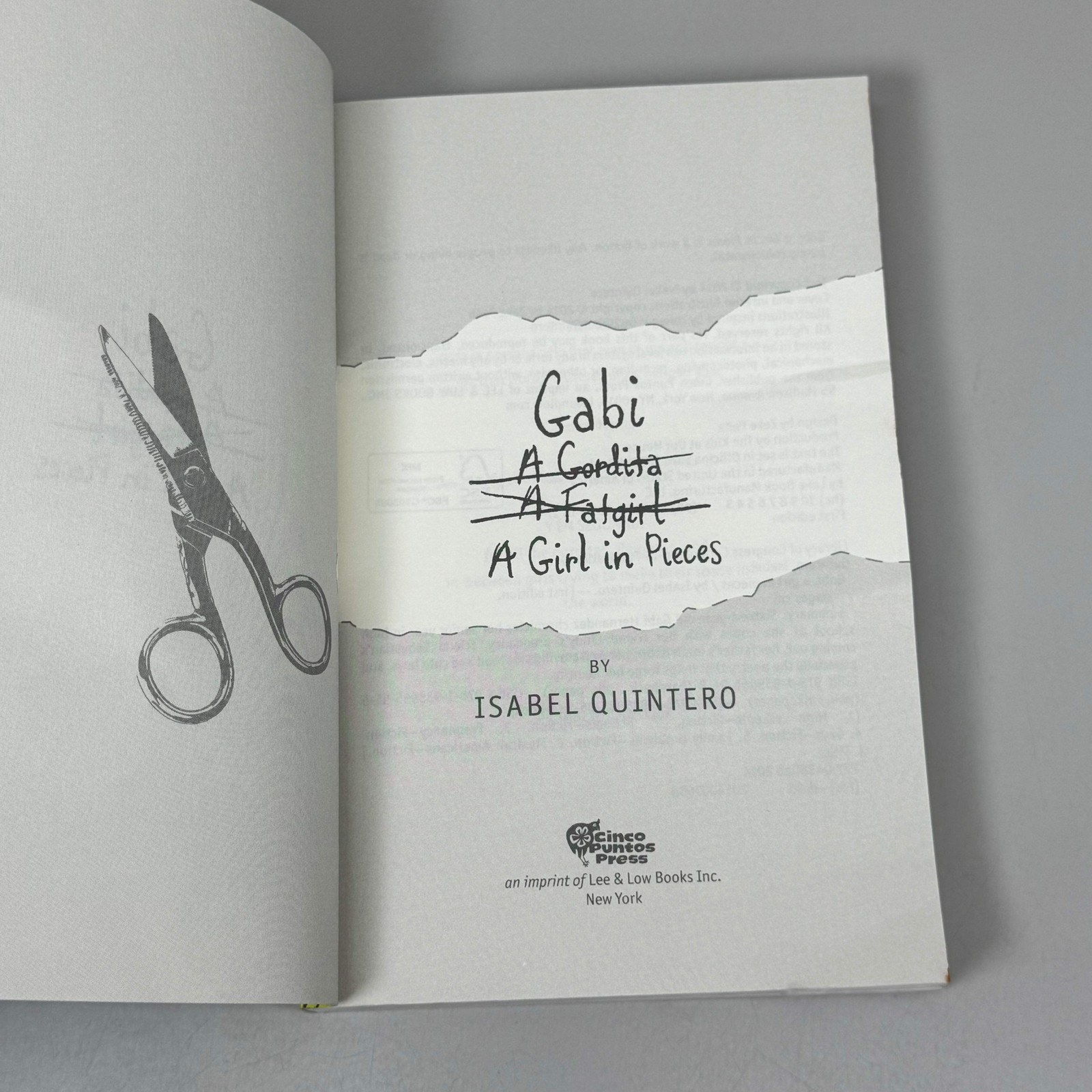 GABI A Girl In Pieces by Isabel Quintero 8″ x 5″ Green 51695