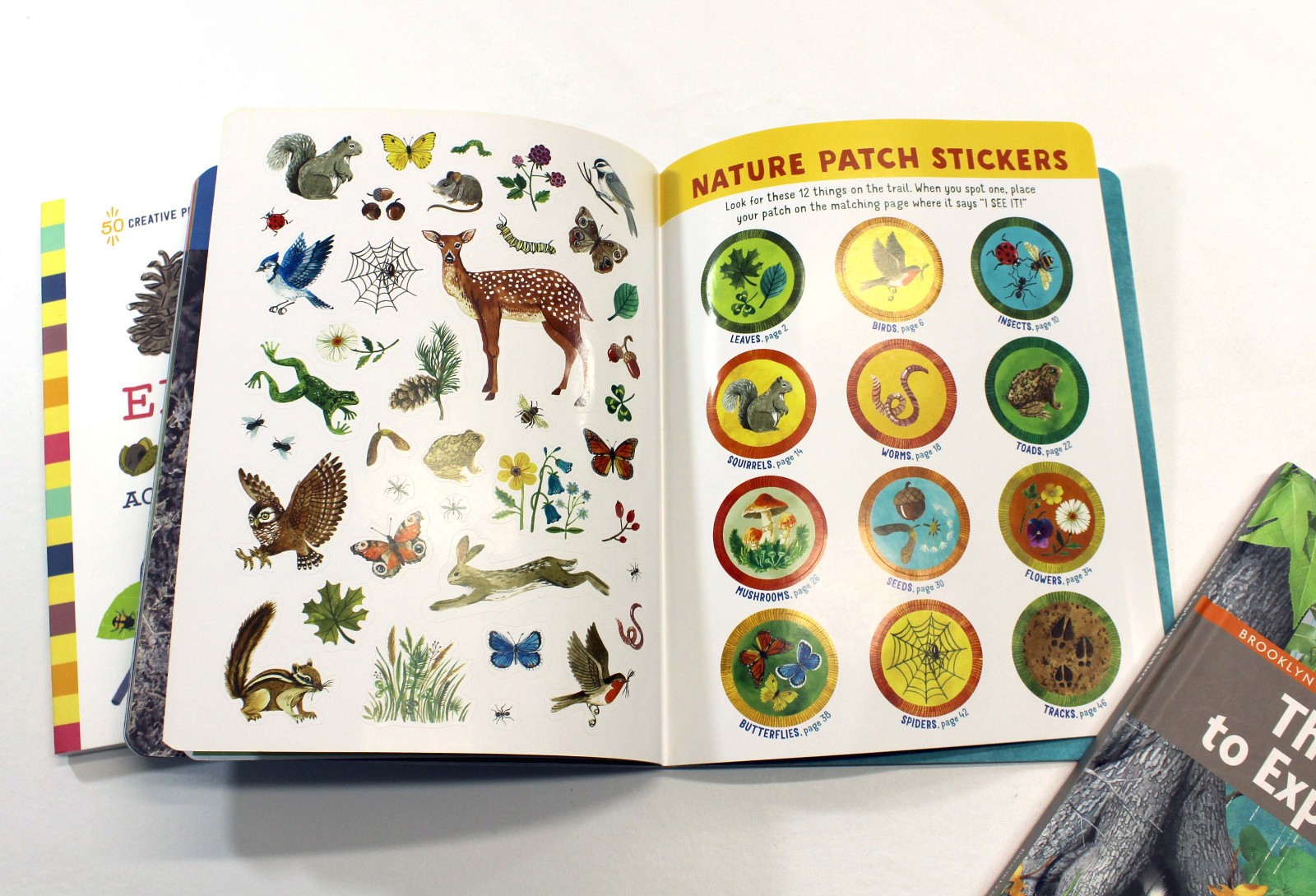 Kids Exploring Outdoors Nature Books Guides Activities Projects Mapping Tracking