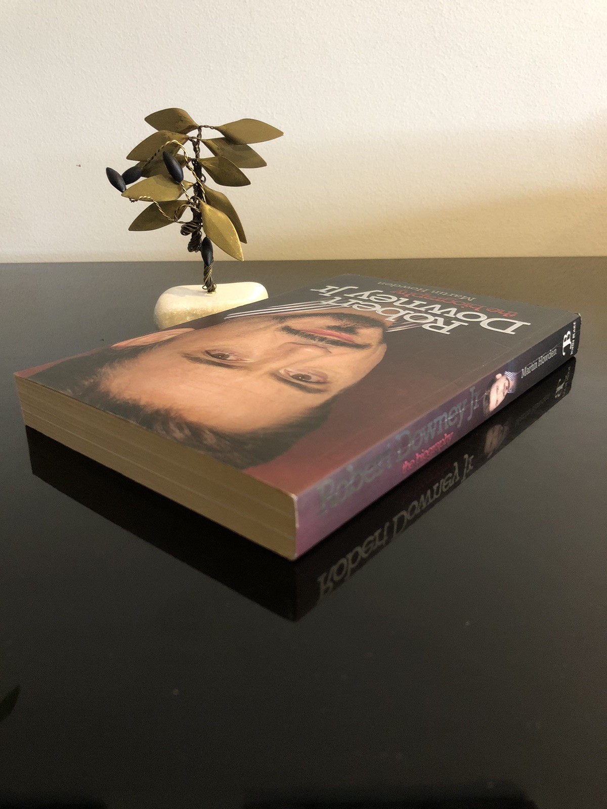 Robert Downey Jr The Biography Martin Howden J Blake 2010 First Ed/F.Pr. SC LN
