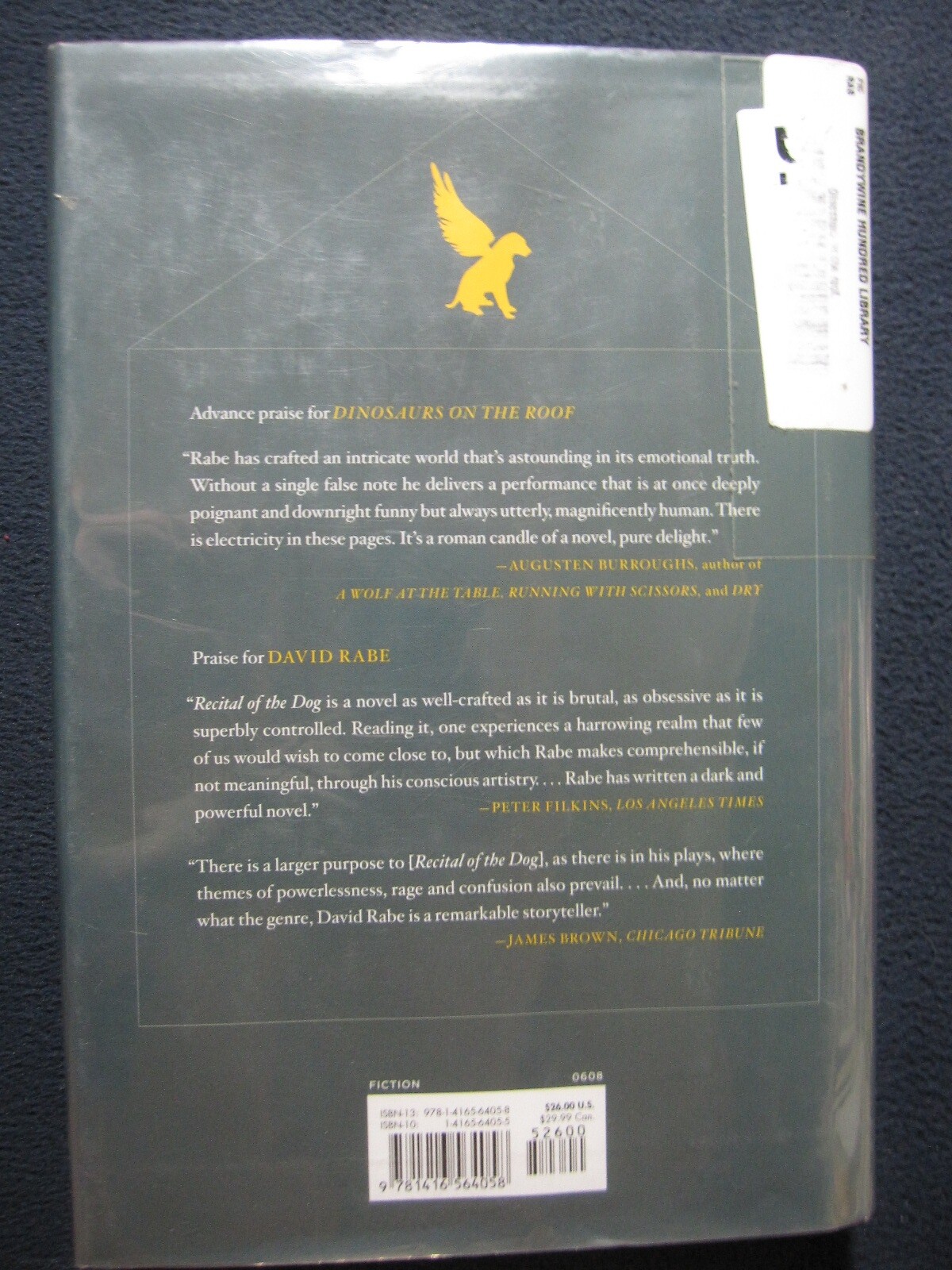 Dinosaurs on the Roof: A Novel Rabe, David