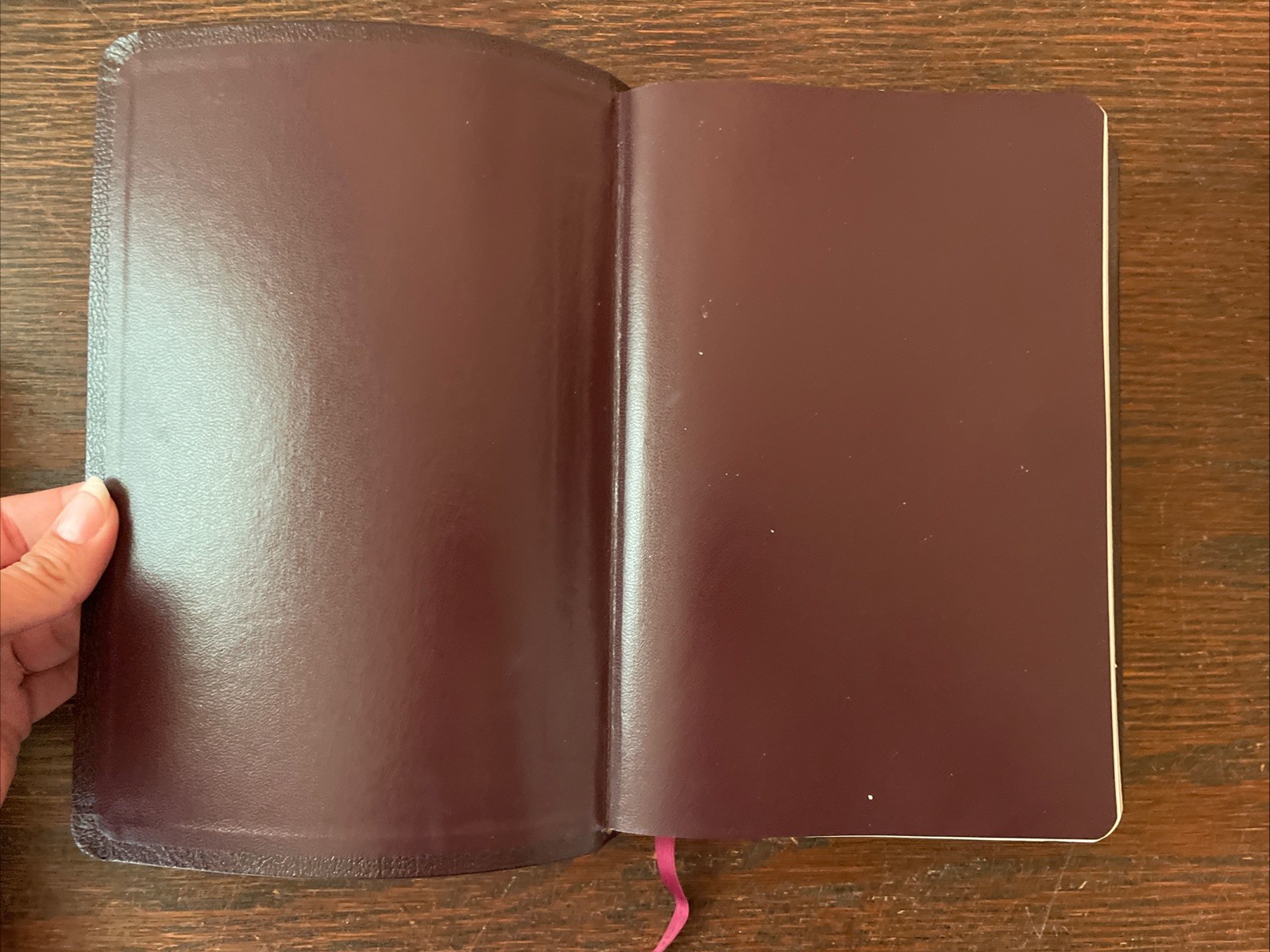 Charles F. Stanley Life Principles Bible NKJV Indexed Leather Burgundy 2005