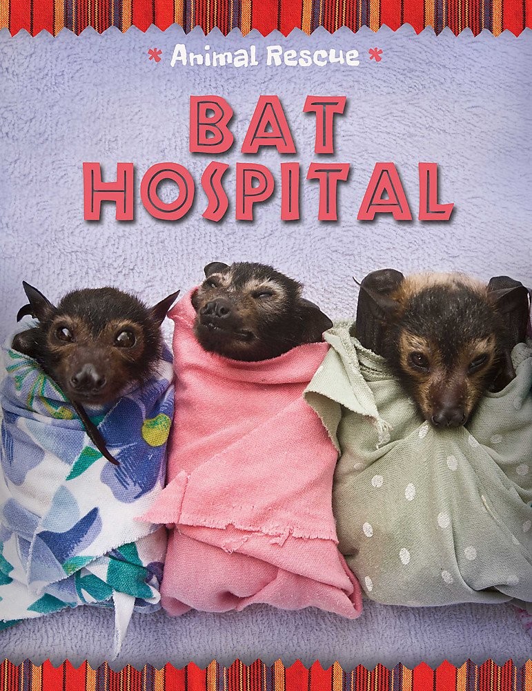Animal Rescue Bat Hospital – hardcover Hibbert, Clare