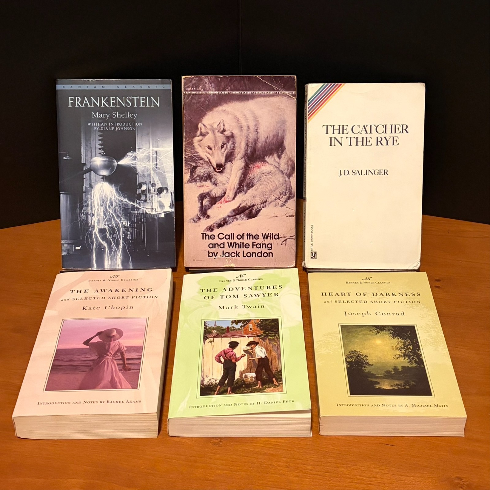 14 Classics Bundle: Frankenstein, Call of the Wild, Catcher in the Rye, more