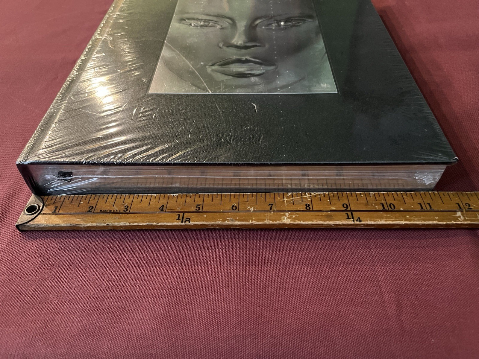 Visionaire Experiences in Art and Fashion (James Kaliardos Cecilia Dean) NWT OOP
