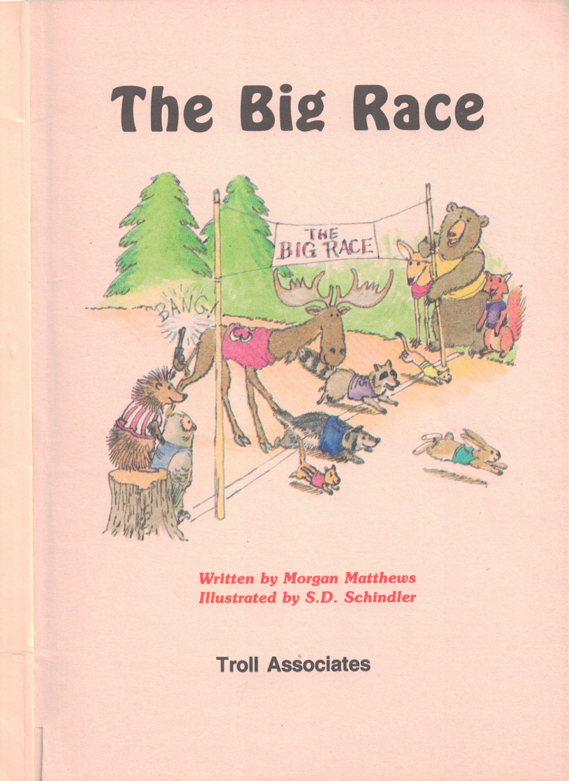 THE BIG RACE by Morgan Matthews / S.D. Schindler – FIDDLESTICKS 1989 Troll Book