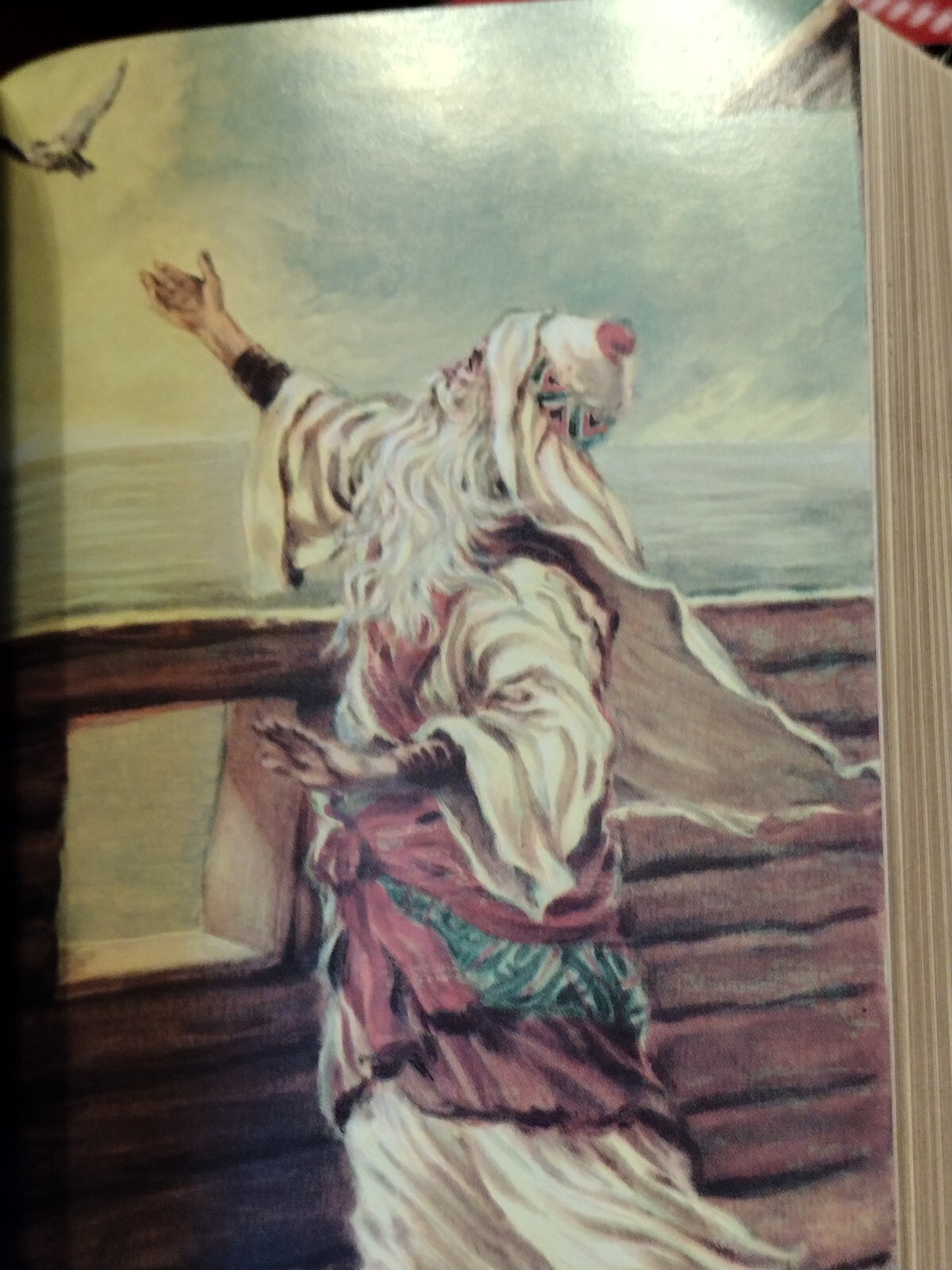 Holy Bible New American Standard Catholic Bible Press 9033 Thomas Nelson