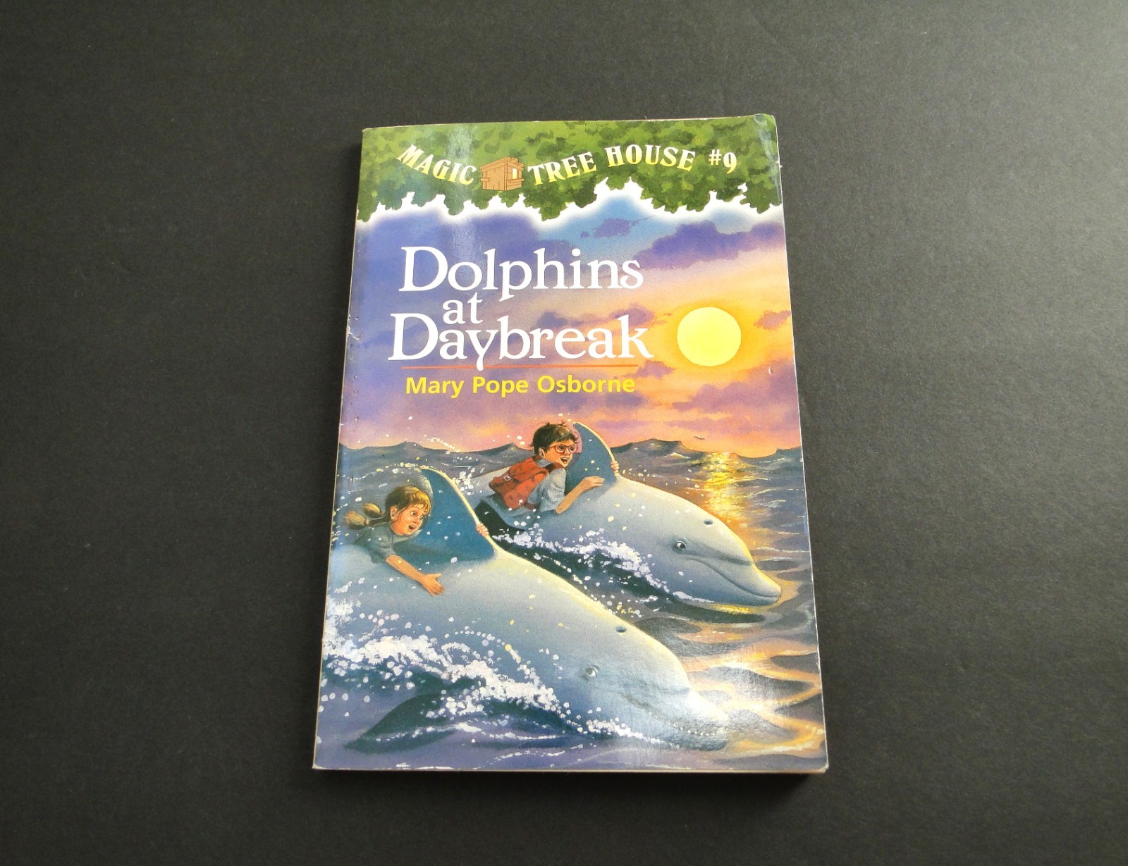 1997 Magic Tree House: Dolphins at Daybreak #9 by Mary Pope Osbourne
