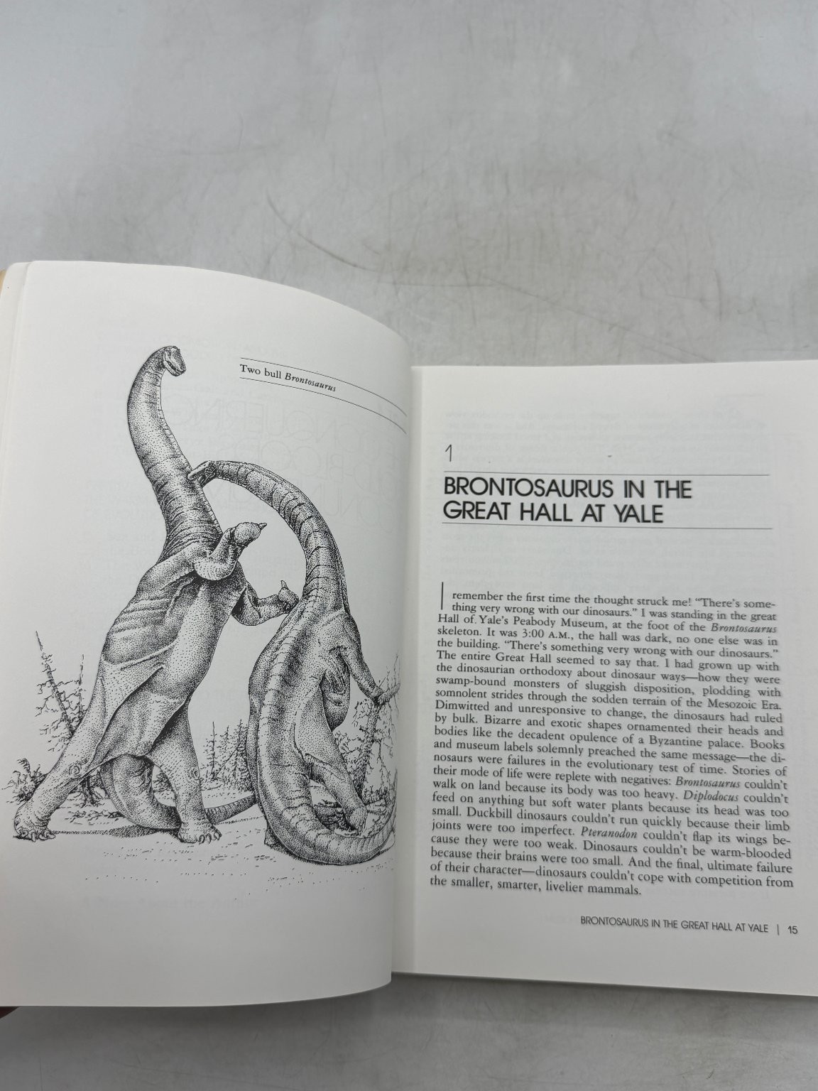 Dinosaur Heresies Robert Bakker 1986 First Edition Paleontology Hardcover