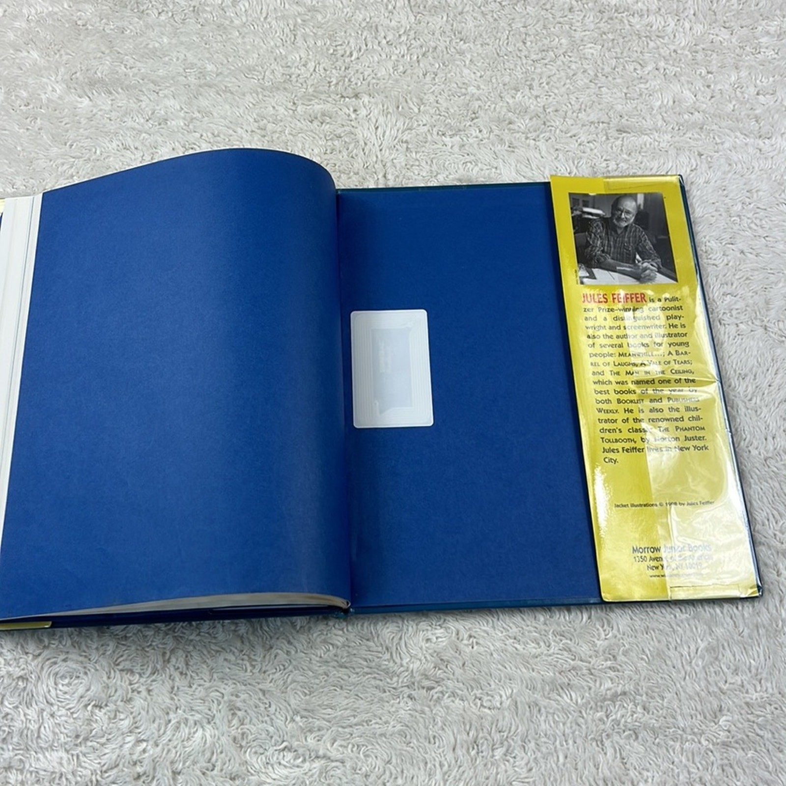 Jules Feiffer Picture Book bundle lot – I lost my Bear and The Odious Ogre
