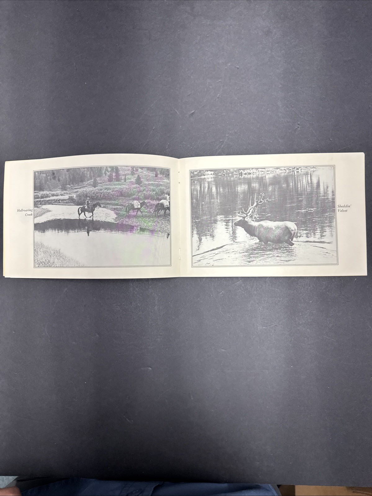 Hells ‘A’ Roarin Outfitters Hunting Pamplet – Vintage Paperback 20 Pages