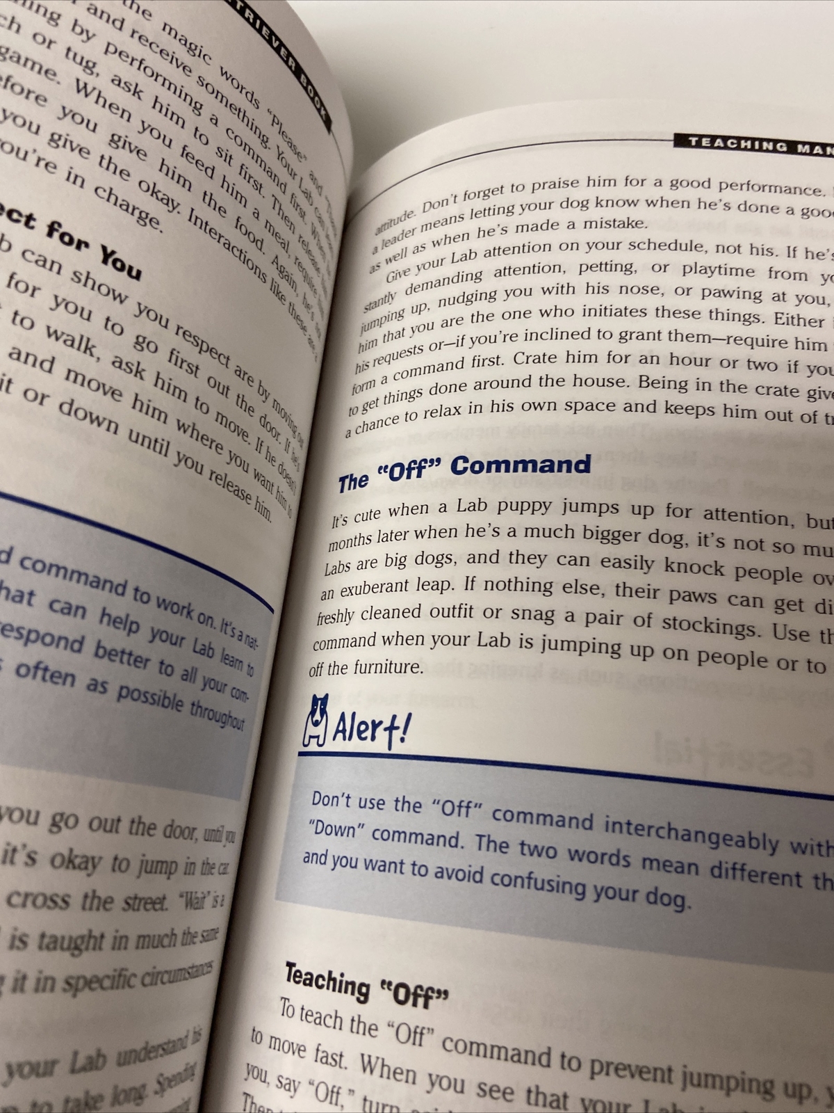 Everything® Ser.: Labrador Retriever Book : A Complete Guide to Raising,…