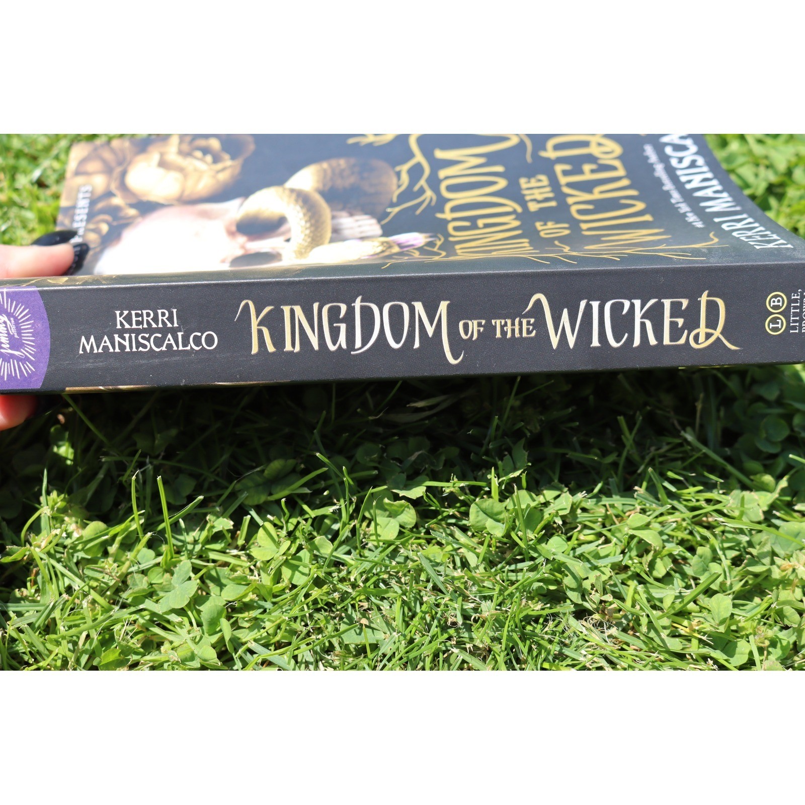YA Fantasy Book Lot Shatter Me Kingdom of the Wicked Ash Princess Paperbacks