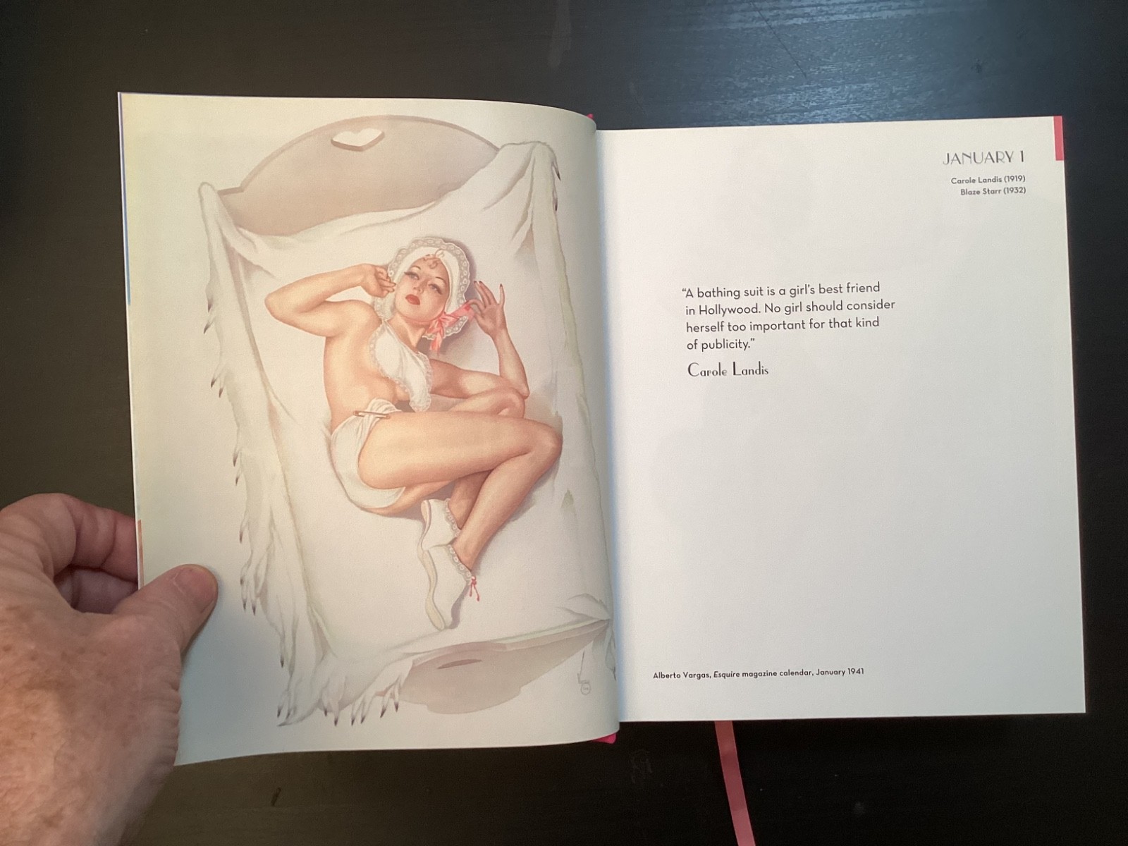 365 Day-by-Day Pin-Up Dian Hanson (2012, Hardcover Taschen)