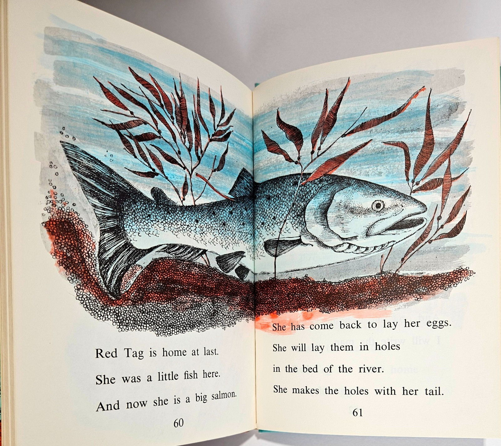Seeds and More Seeds Millicent Selsam AND Red Tag Comes Back 2 Hardcovers 1959